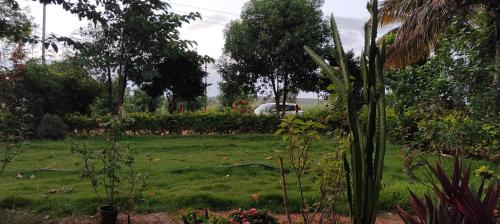 serene homestay