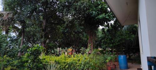 serene homestay