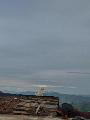 laxman vila hilltop retreat