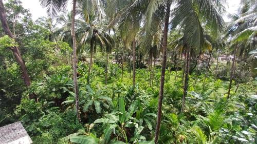 george homestay ujire