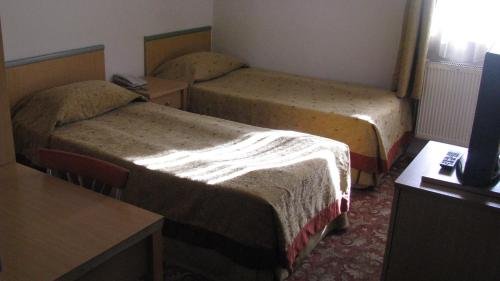 otel amiller