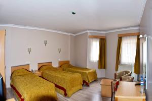 otel amiller