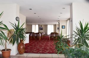otel amiller
