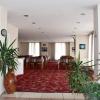 otel amiller