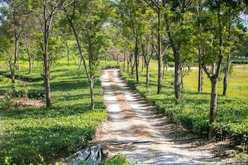 papumpare jungle resort
