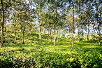 papumpare jungle resort