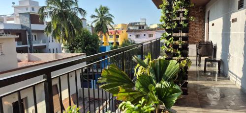 vluv home stay