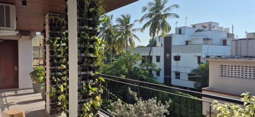 vluv home stay