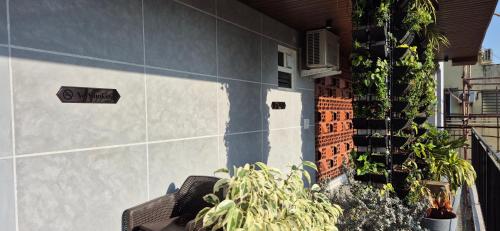 vluv home stay
