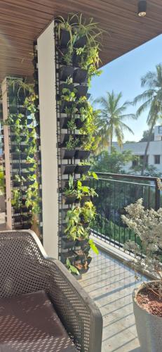 vluv home stay