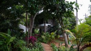trisara boutique stay