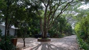 trisara boutique stay