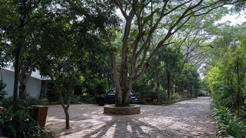 mysore