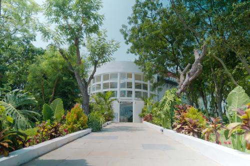vsr vriksha naturopathy wellness