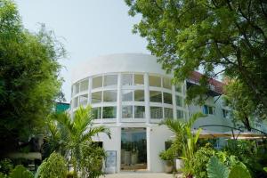 vsr vriksha naturopathy wellness