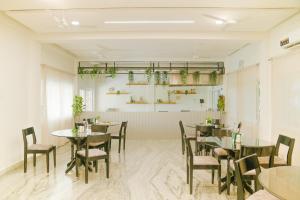 vsr vriksha naturopathy wellness