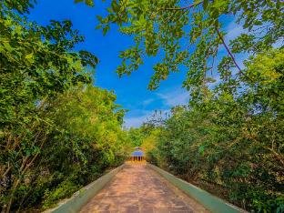 syna jungle resort shahdar