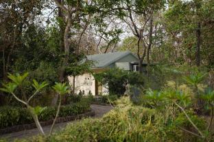 syna jungle resort shahdar
