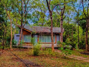 syna jungle resort shahdar