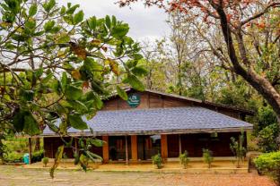 syna jungle resort shahdar