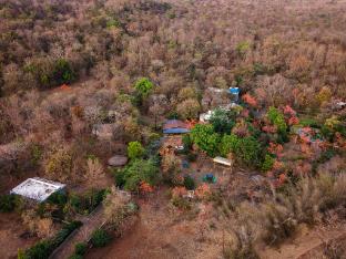syna jungle resort shahdar