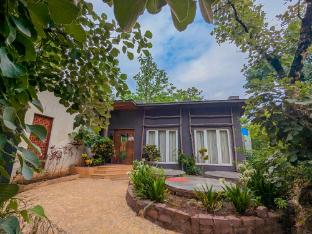 syna jungle resort shahdar