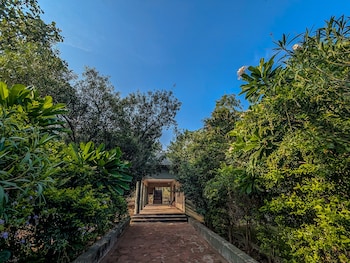 syna jungle resort shahdar