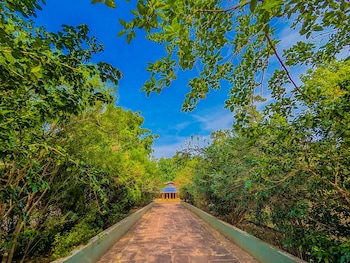 Syna Jungle Resort - Shahdar,,3 star
