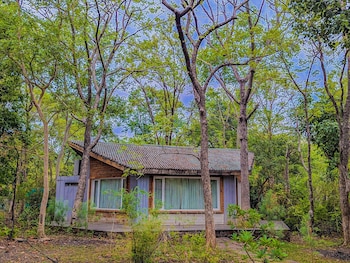 syna jungle resort shahdar