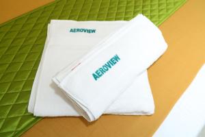 aeroview homestay chennai airport