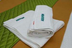 aeroview homestay chennai airport