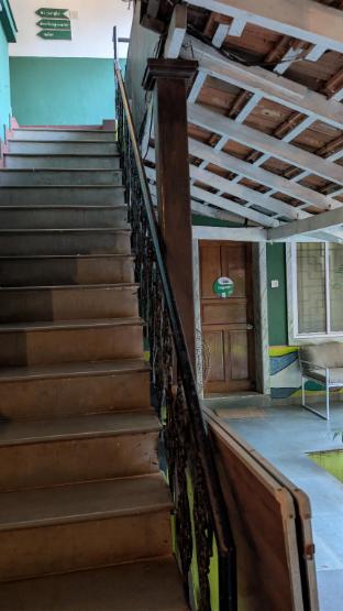 jungle hostel by mango tree