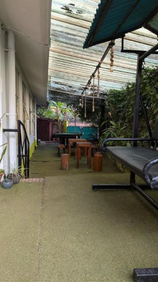 jungle hostel by mango tree