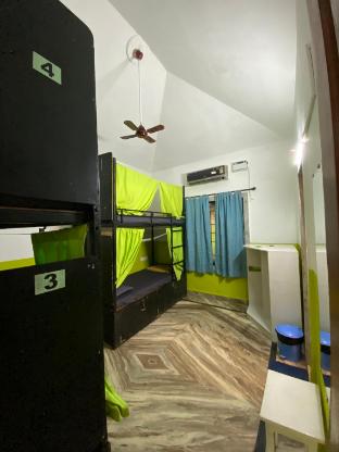 jungle hostel by mango tree