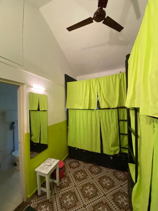 jungle hostel by mango tree
