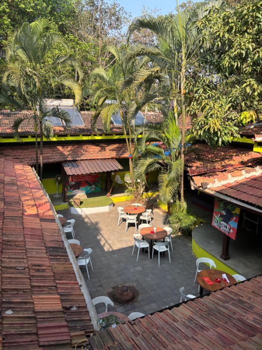 jungle hostel by mango tree