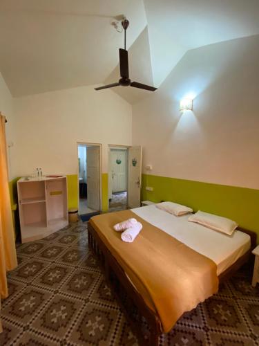 jungle hostel by mango tree