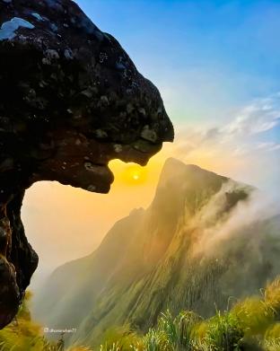 sunrise homestay
