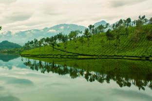 sunrise homestay
