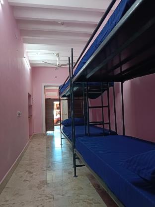 le apex hostel