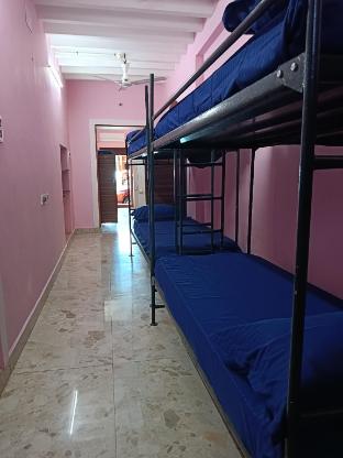 le apex hostel