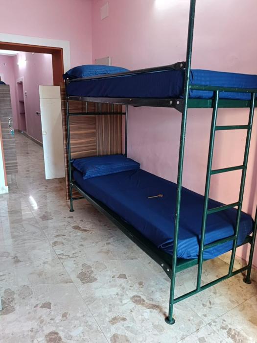 le apex hostel