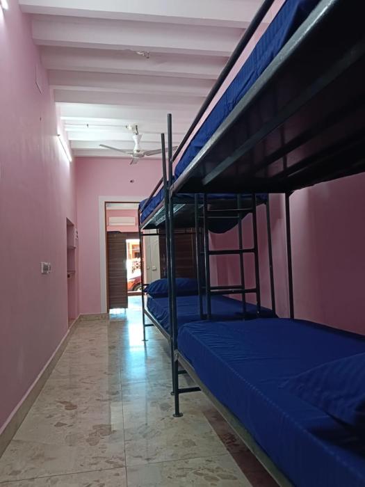 le apex hostel