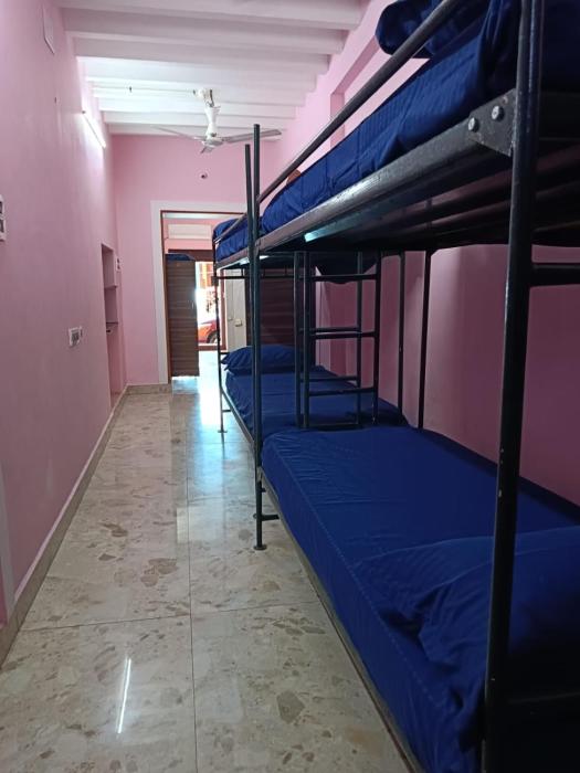 le apex hostel