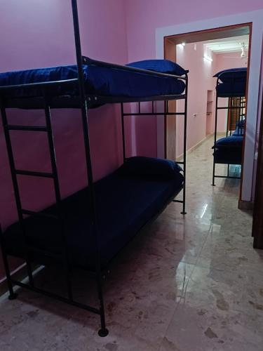le apex hostel
