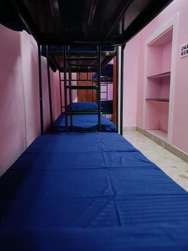 le apex hostel