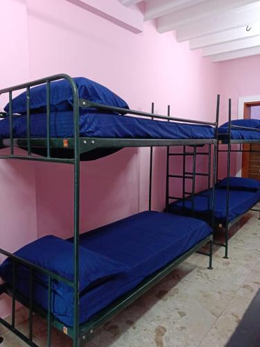 le apex hostel