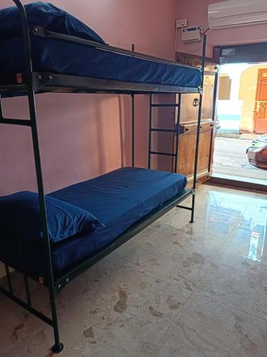 le apex hostel