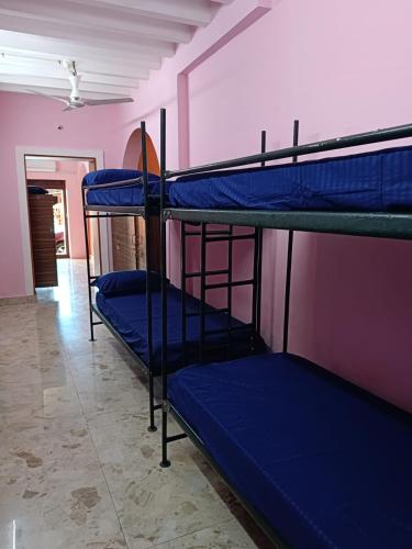 le apex hostel