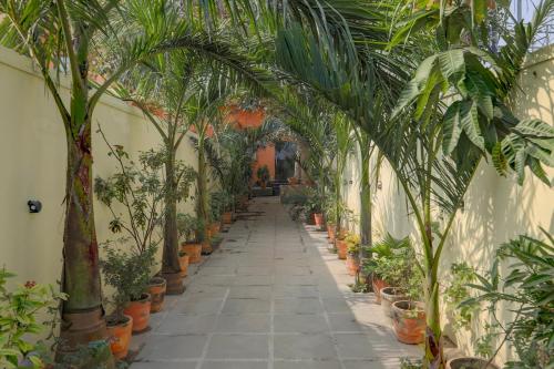 hotel o by oyo shree paying guest house